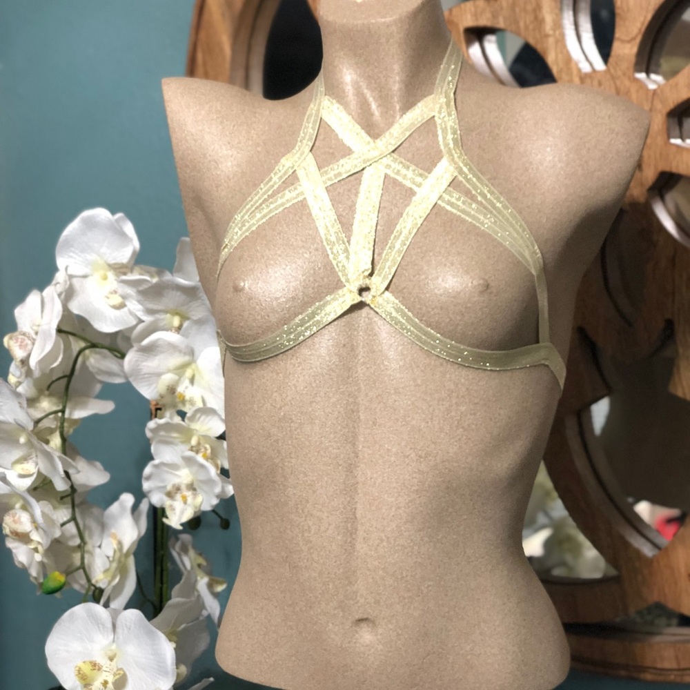 Lingerie Elastic Harness Custom Bra